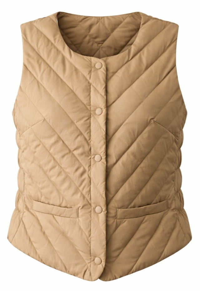 GOOSE DOWN VEST